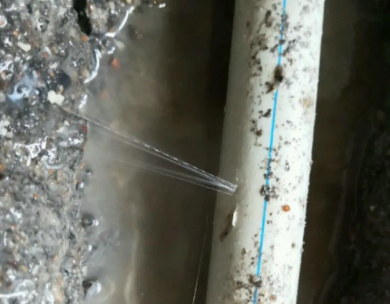 柘荣测漏水哪家好