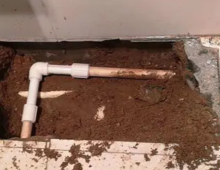 柘荣测漏水哪家好