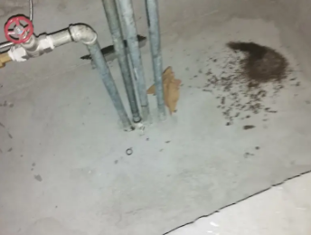 柘荣卫生间测漏水价格明细