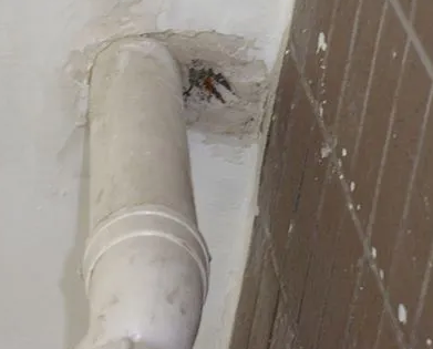 柘荣漏水检测哪家好